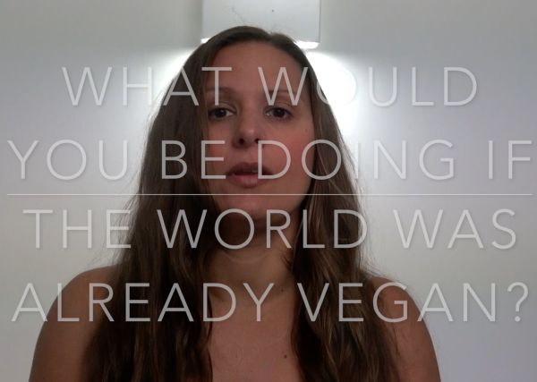 What Would You Be Doing if the World Was Already Vegan