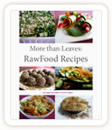 Raw Food Recipes eBook