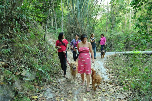 dog_walking_with_the_ladies