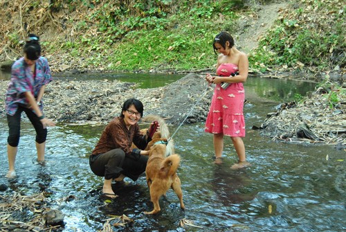 dogs_and_ladies_in_the_stream