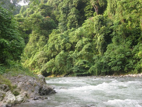 river_near_at_Gunung_Leuser_National_Park
