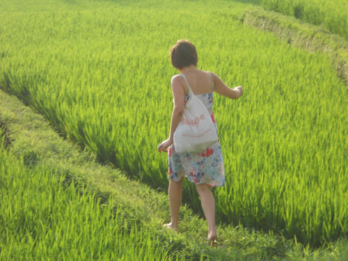 LC_walking_on_the_rice_fields