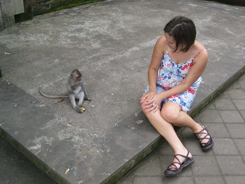 baby_monkey_LC_at_monkey_forest