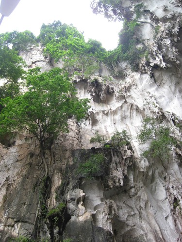 Batu_Caves_cliff_2