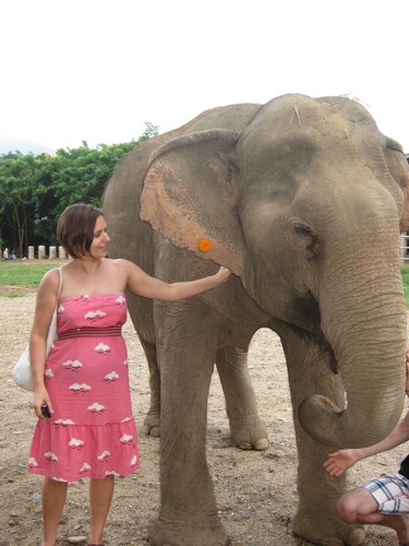 LC_and_elephant_with_flower_at_Elephant_Nature_Park