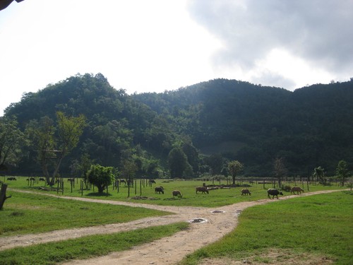 mountain_view_at_Elephant_Nature_Park