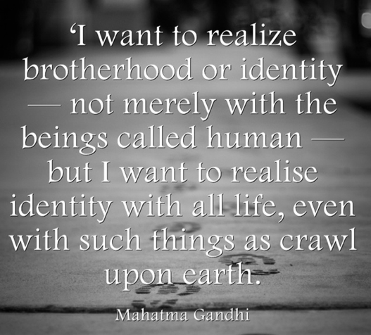 Gandhi_and_Brotherhood