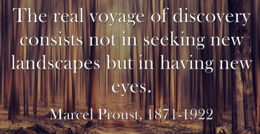 Marcel_Proust__Discovery